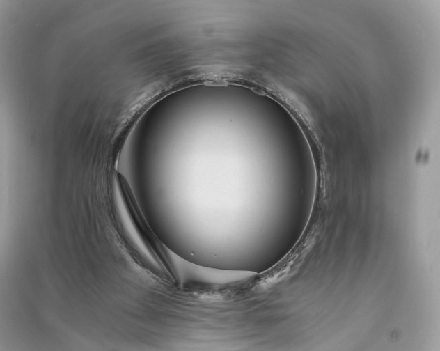 X0000090920105200708131441