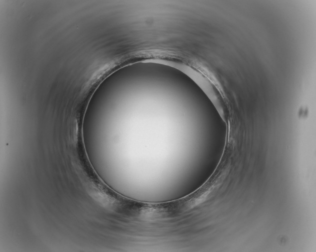 X0000090920109200708131441