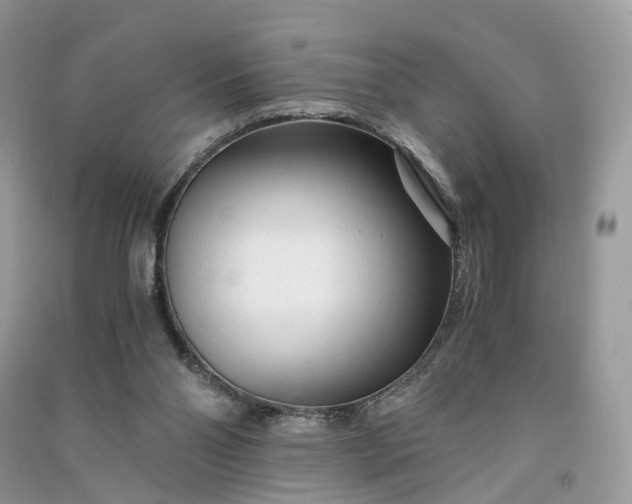 X0000090920110200708131441