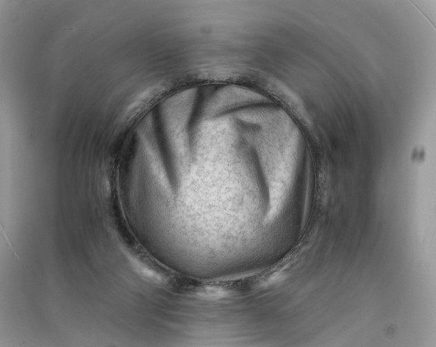 X0000090920114200708131441