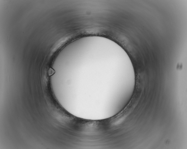 X0000090920116200708131441