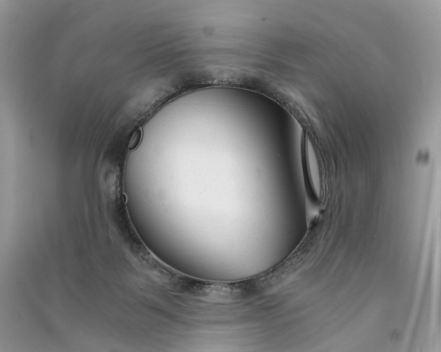 X0000090920123200708131441