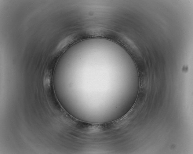 X0000090920124200708131441