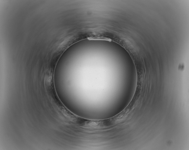 X0000090920129200708131441