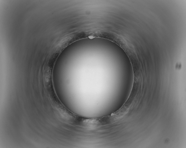 X0000090920133200708131441