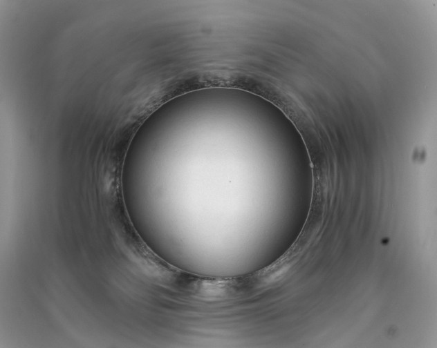 X0000090920134200708131441