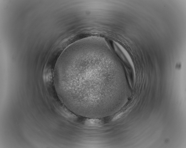 X0000090920137200708131441