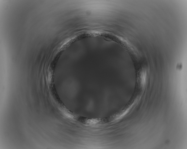 X0000090920139200708131441