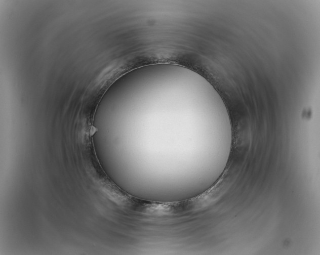 X0000090920140200708131441