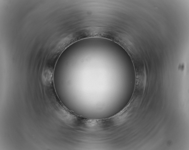 X0000090920142200708131441