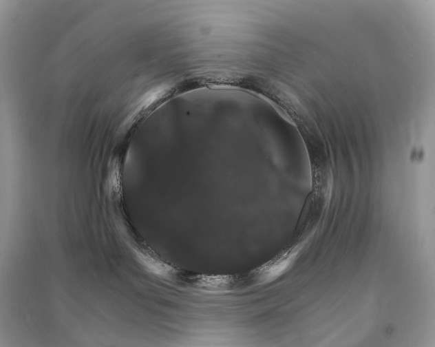 X0000090920143200708131441