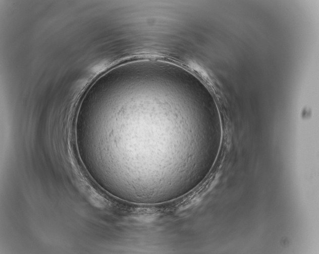 X0000090920145200708131440