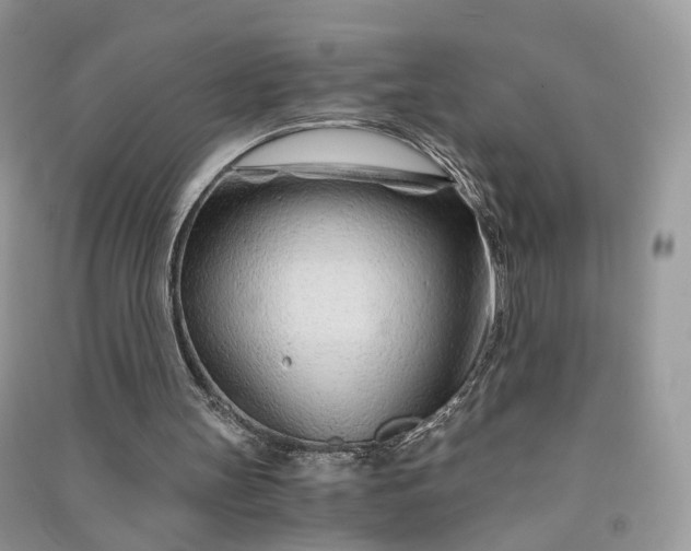 X0000090920147200708131440