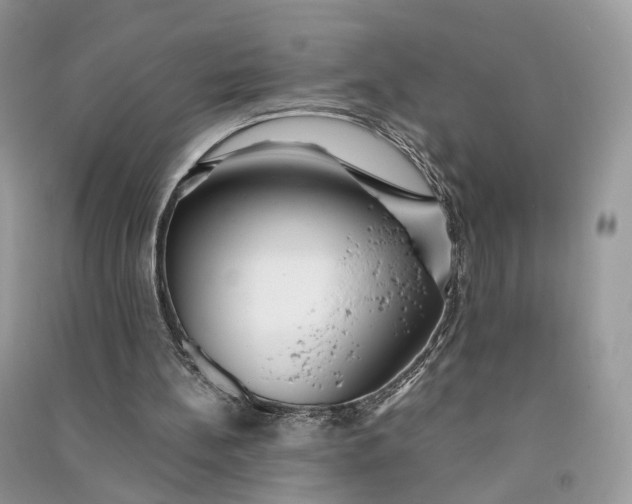 X0000090920148200708131440