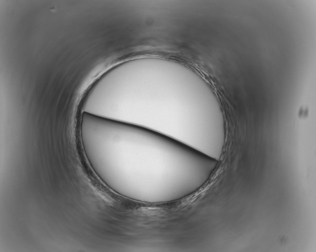 X0000090920150200708131440