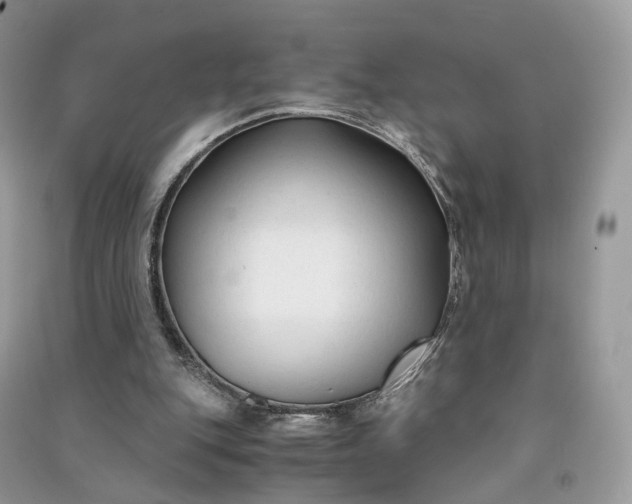 X0000090920151200708131440