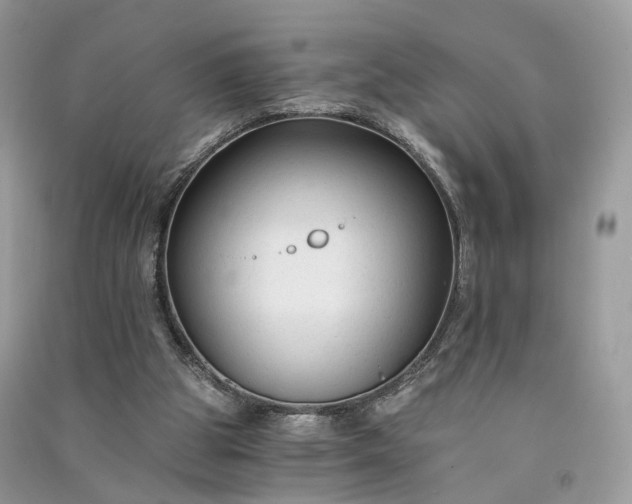 X0000090920153200708131440