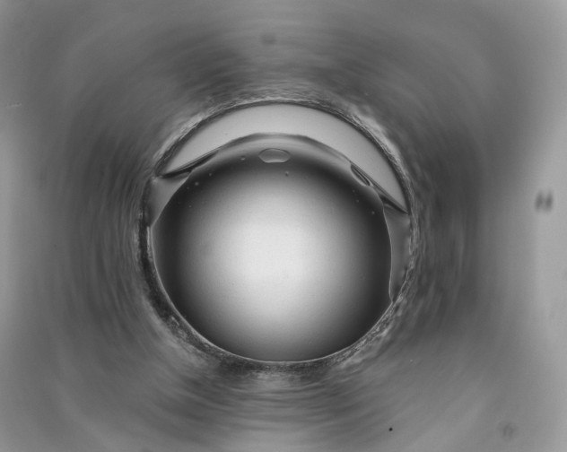 X0000090920154200708131440