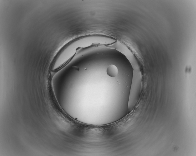 X0000090920156200708131440