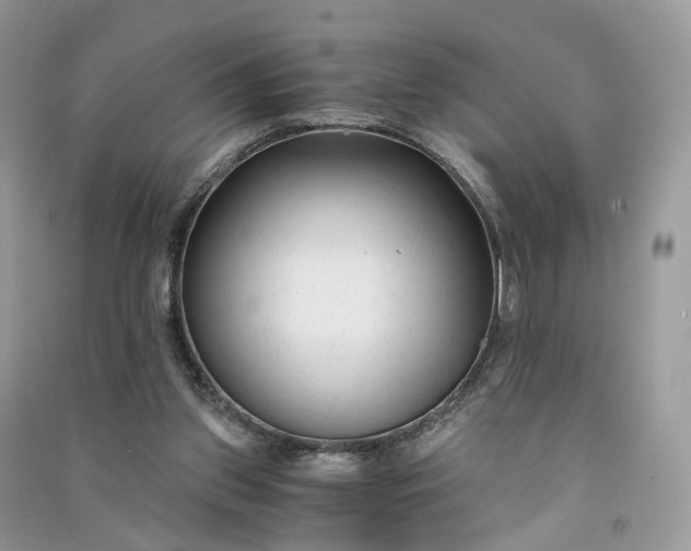 X0000090920157200708131440