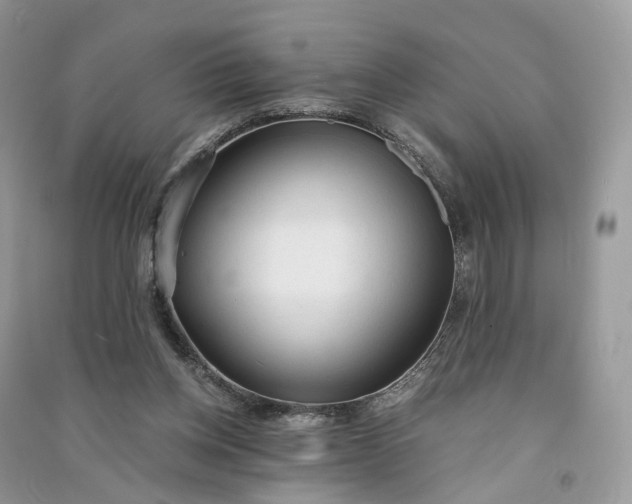 X0000090920158200708131440