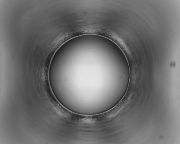 X0000090920161200708131440