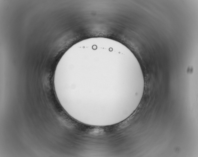 X0000090920162200708131440