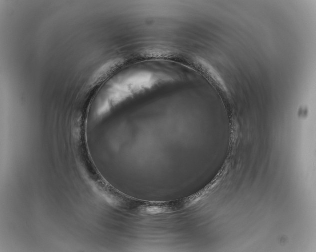 X0000090920163200708131440