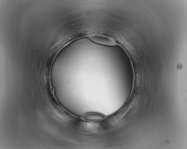 X0000090920165200708131440