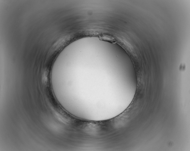 X0000090920166200708131440