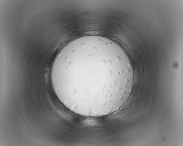 X0000090920171200708131440