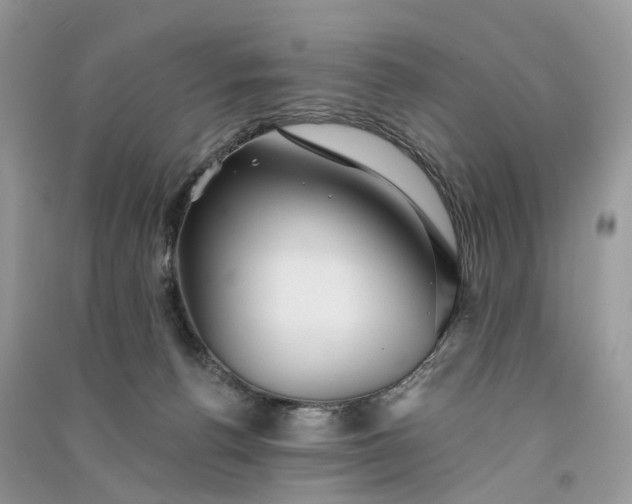 X0000090920176200708131440