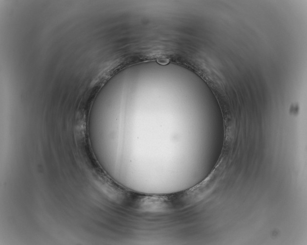 X0000090920179200708131441