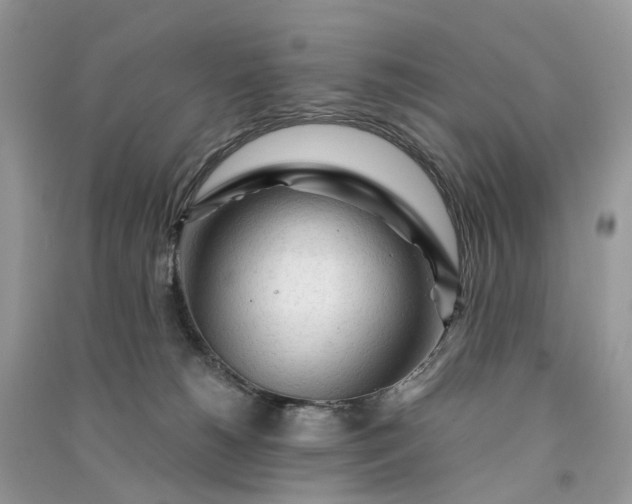 X0000090920180200708131441