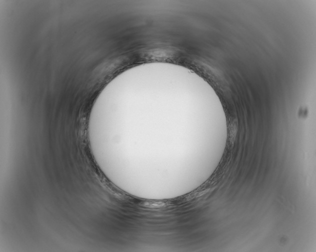 X0000090920181200708131441