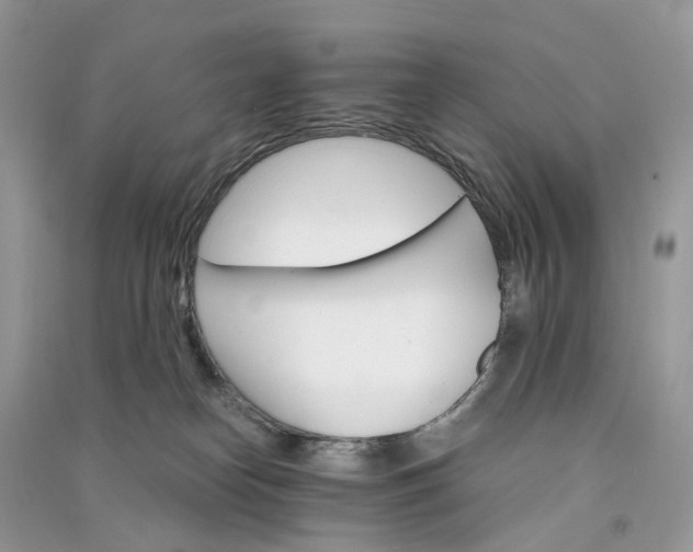 X0000090920182200708131441