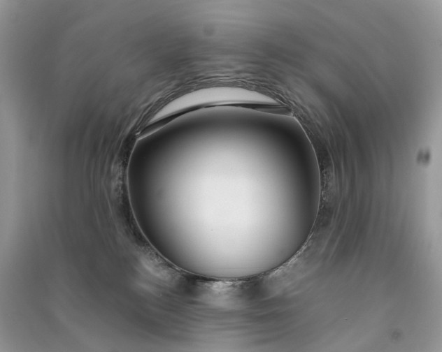 X0000090920184200708131441