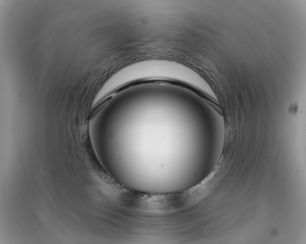 X0000090920186200708131441