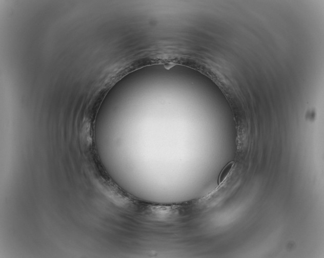 X0000090920187200708131441