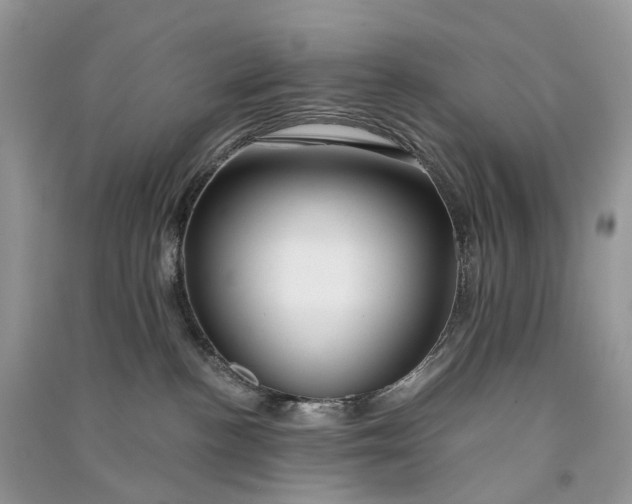 X0000090920188200708131441