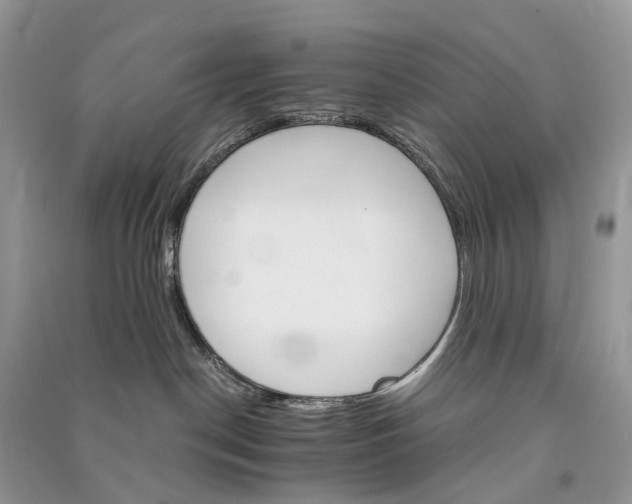 X0000090920190200708131441