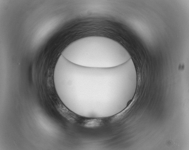 X0000090920191200708131441