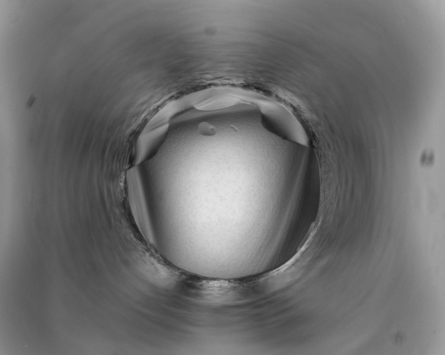 X0000090920192200708131441