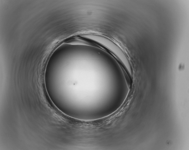 X0000090920193200708131440