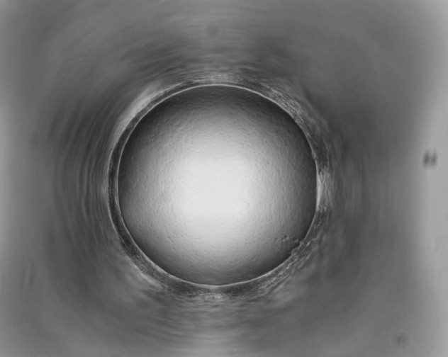 X0000090920195200708131440