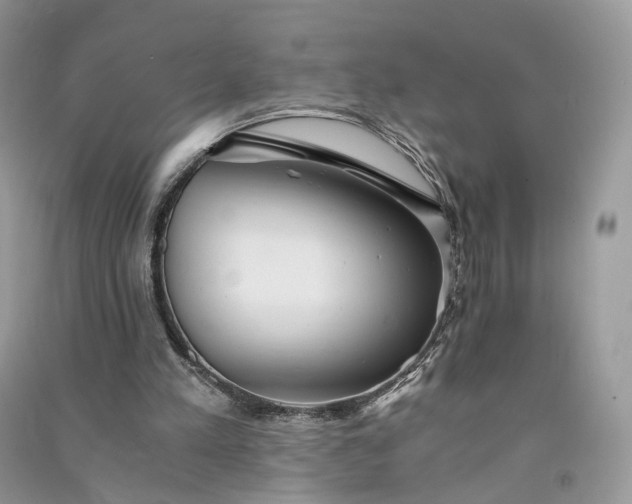 X0000090920197200708131440