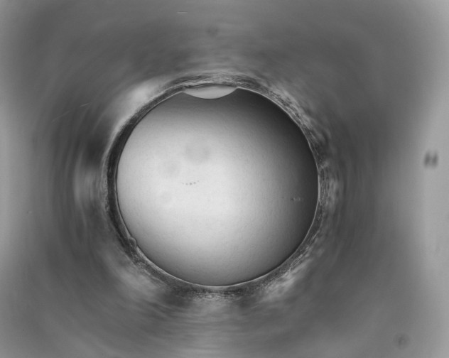 X0000090920198200708131440