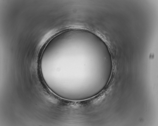 X0000090920199200708131440