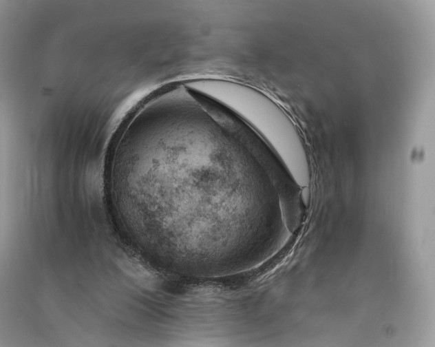 X0000090920200200708131440