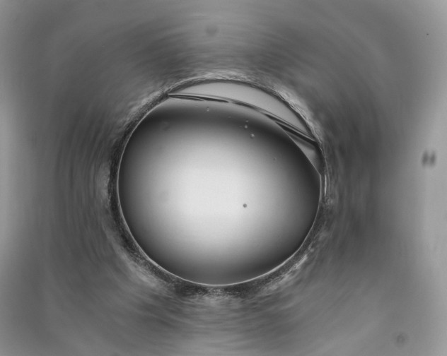 X0000090920201200708131440